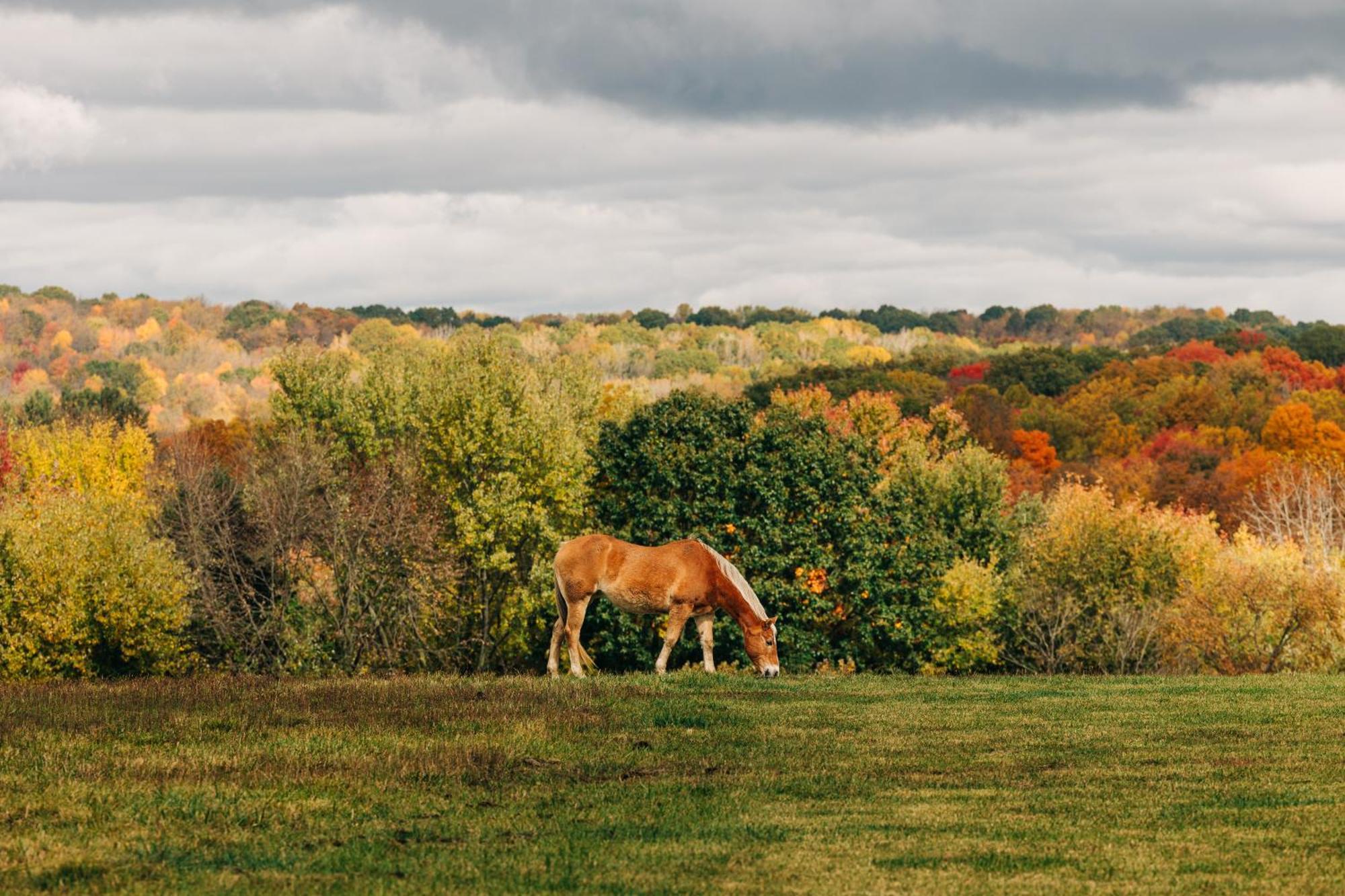 Vila Downtown Escape Great For Large Families & Groups Sugarcreek Exteriér fotografie